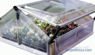 Home mini polycarbonate greenhouse, mini greenhouse for garden, photo and video