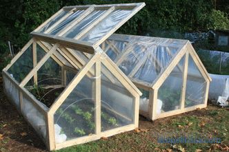 Home mini polycarbonate greenhouse, mini greenhouse for garden, photo and video