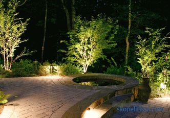 Garden lamp - criteria and nuances of choice