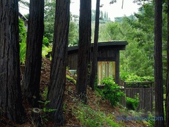 Two mini-cottages as an extension to the house in Mill Valley, California