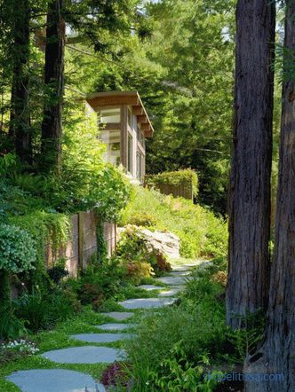 Two mini-cottages as an extension to the house in Mill Valley, California