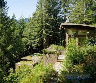 Two mini-cottages as an extension to the house in Mill Valley, California