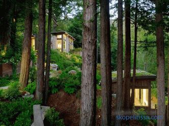 Two mini-cottages as an extension to the house in Mill Valley, California