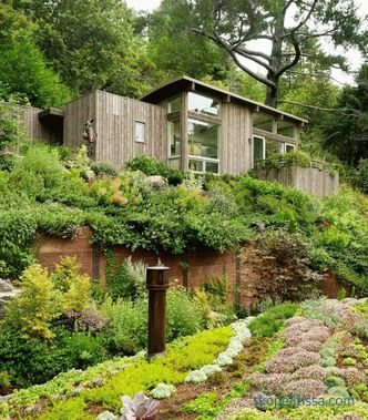 Two mini-cottages as an extension to the house in Mill Valley, California