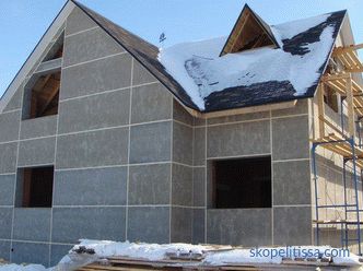 Internal and external decoration of the house of CIP panels - photos, the choice of materials