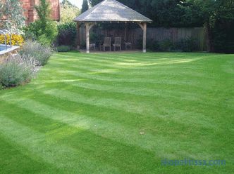 Sports lawn - technology laying on the plot