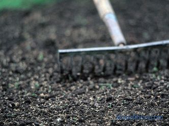 Sports lawn - technology laying on the plot