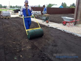 Sports lawn - technology laying on the plot