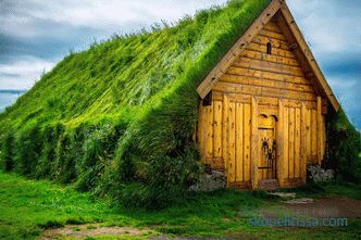 Green roof - beauty or good