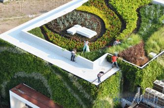 Green roof - beauty or good