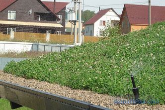 Green roof - beauty or good