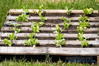 Examples of furniture and home decoration with pallets and pallets