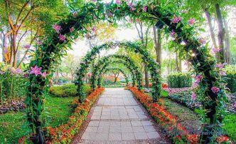 what you can buy cheap, garden arches, decorative, with benches