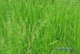 basic functions and suitable grass mixtures