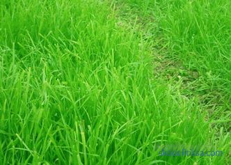 basic functions and suitable grass mixtures