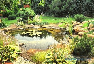 Dig a pond at the site price of work, how much does it cost to build a pond in the country, dig a pond at the site