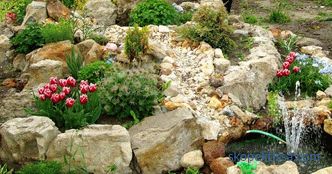 Stones for an alpine slide: the basic principles of the right choice