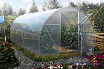 Greenhouses and greenhouses for summer cottage: characteristics: dimensions, prices in Moscow