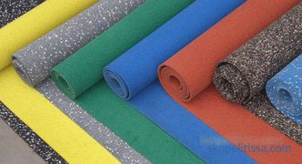 Rubber coverings for garden paths - catalog, prices, photos, specifications