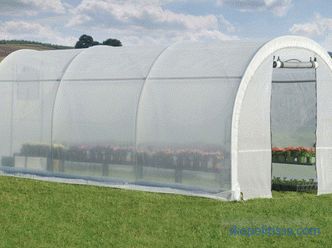 How to choose a greenhouse to give: features of choice, tips, photos
