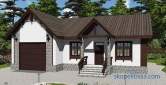 Garage and sauna under one roof: design features