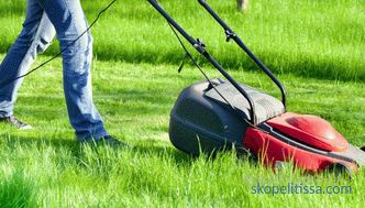 trimmers, lawn mowers, benzokosy, scissors - the appointment and characteristics