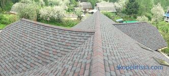 How to choose a roof for a country house: what we pay attention to and popular materials