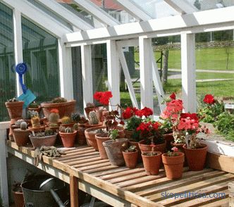 technology of construction of glass greenhouses, step by step instructions, photos