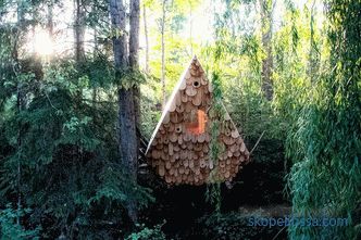 Birdhouse in a Canadian forest - accommodates two people and 12 birds