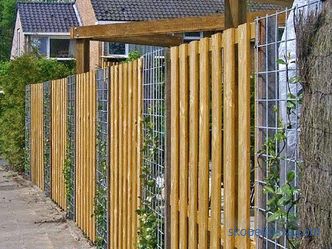 Fence to give - tips, photos and video examples