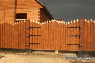 Fence to give - tips, photos and video examples